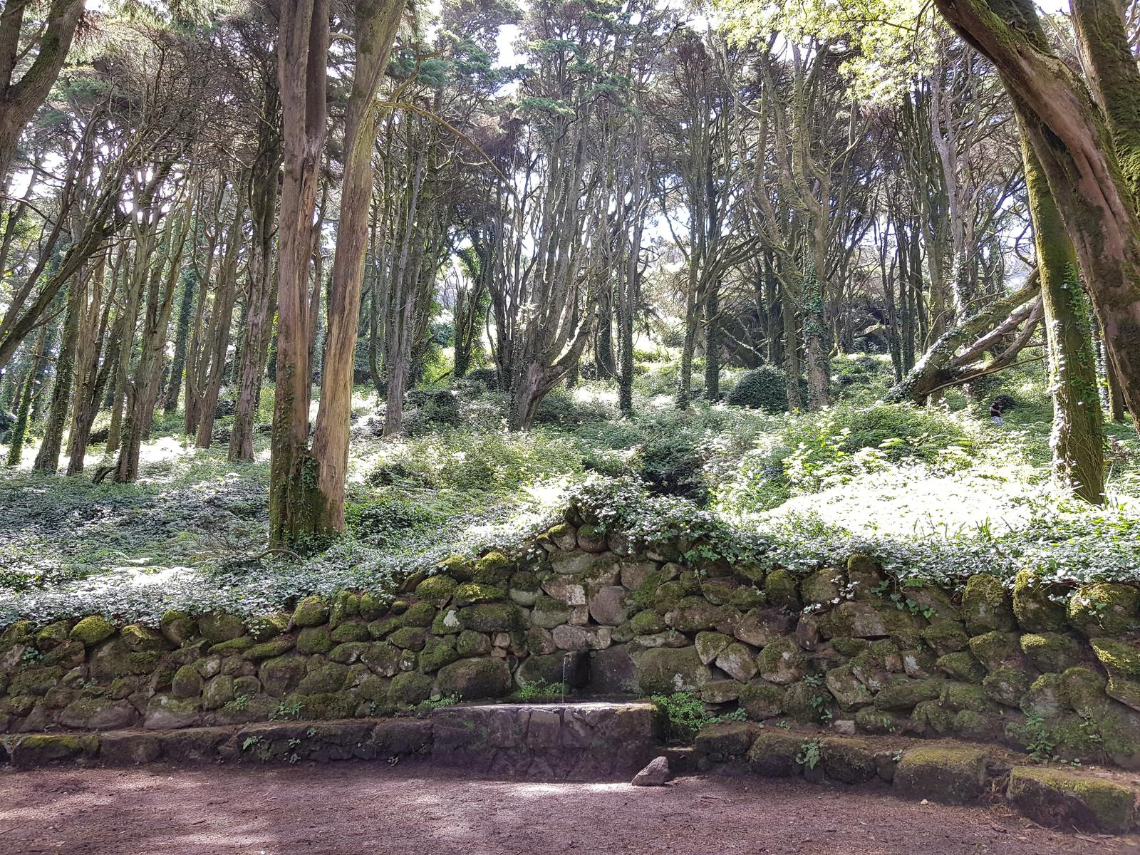 Senhora da Peninha Sintra